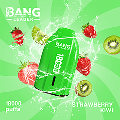 bang leader 18000 puffs original bang leader 18k vape type c port disposable e cigarettes customizable. fast shipping