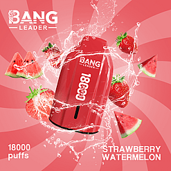 bang leader 18000 puffs original bang leader 18k vape type c port disposable e cigarettes customizable. fast shipping