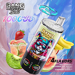 bang leader 100000 puffs original bang leader 100k 4 flavors in 1 vape led display type c port disposable e cigarettes customizable. fast shipping