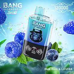 bang leader 120000 puffs original bang leader 120k double flavors vape led display type c port disposable e cigarettes customizable. fast shipping
