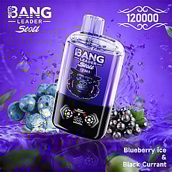 bang leader 120000 puffs original bang leader 120k double flavors vape led display type c port disposable e cigarettes customizable. fast shipping