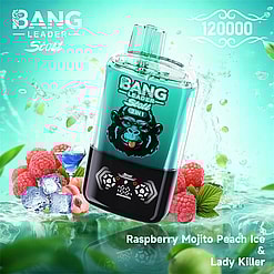 bang leader 120000 puffs original bang leader 120k double flavors vape led display type c port disposable e cigarettes customizable. fast shipping