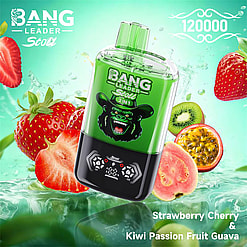 bang leader 120000 puffs original bang leader 120k double flavors vape led display type c port disposable e cigarettes customizable. fast shipping