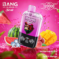 bang leader 120000 puffs original bang leader 120k double flavors vape led display type c port disposable e cigarettes customizable. fast shipping