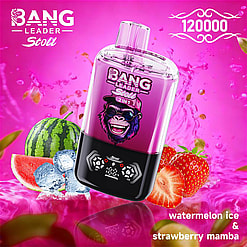 bang leader 120000 puffs original bang leader 120k double flavors vape led display type c port disposable e cigarettes customizable. fast shipping