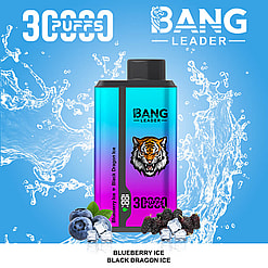 bang leader 30000 puffs original bang leader 30k double flavor vape led display type c port disposable e cigarettes customizable. fast shipping