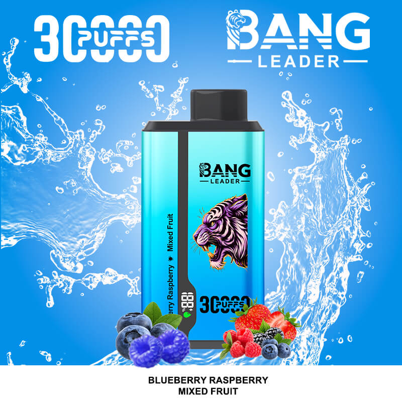 bang leader 30000 puffs original bang leader 30k double flavor vape led display type c port disposable e cigarettes customizable. fast shipping