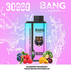 bang leader 30000 puffs original bang leader 30k double flavor vape led display type c port disposable e cigarettes customizable. fast shipping