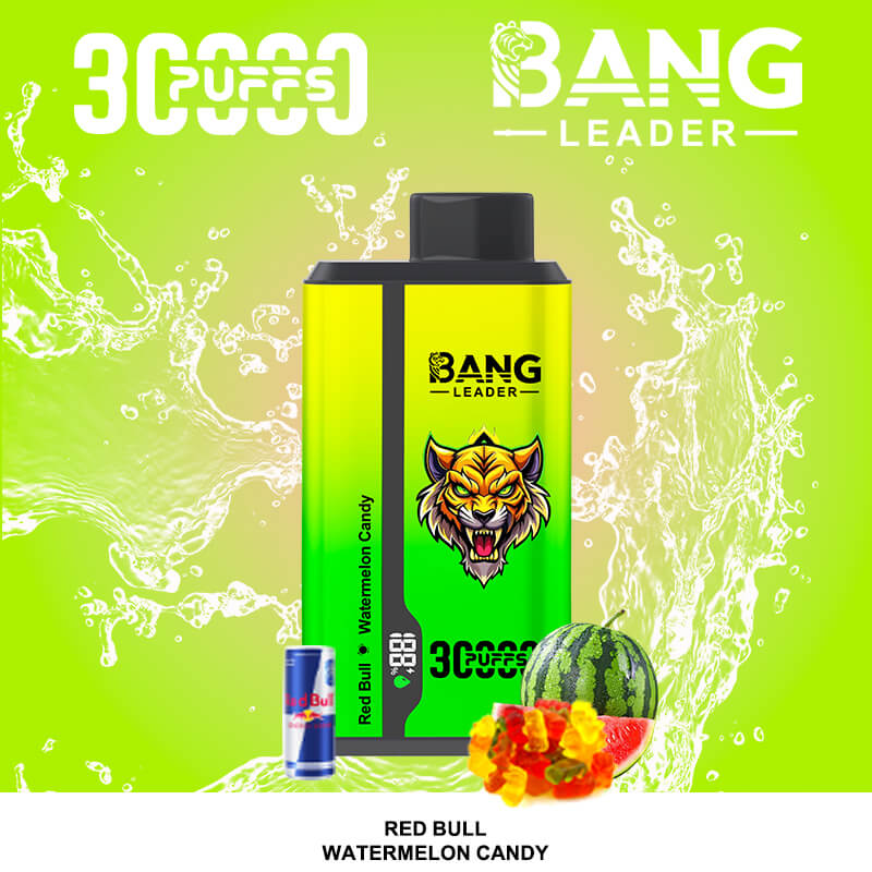 bang leader 30000 puffs original bang leader 30k double flavor vape led display type c port disposable e cigarettes customizable. fast shipping