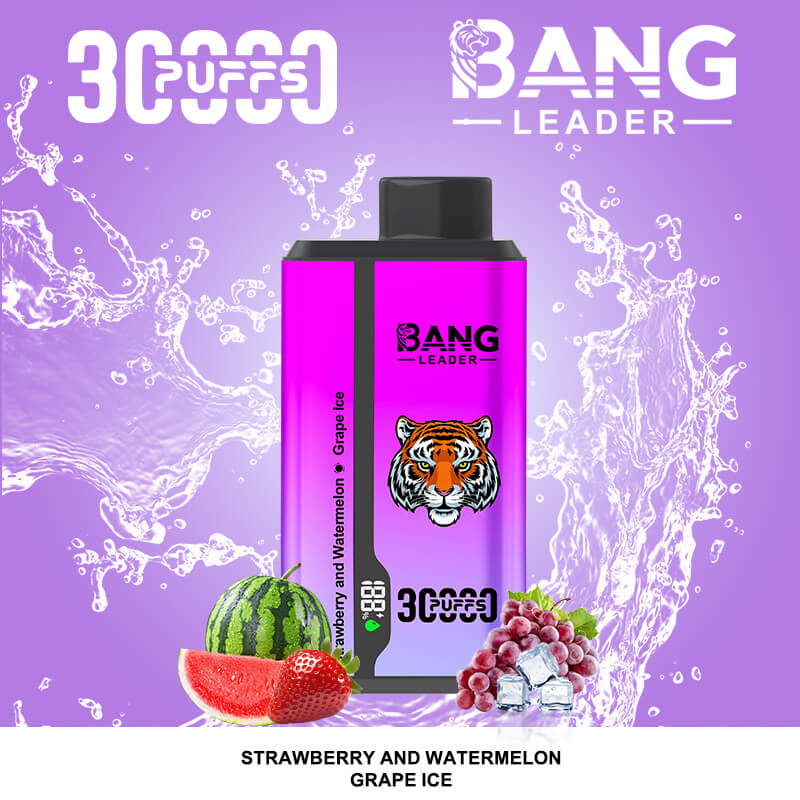 bang leader 30000 puffs original bang leader 30k double flavor vape led display type c port disposable e cigarettes customizable. fast shipping