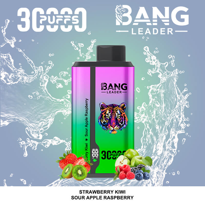 bang leader 30000 puffs original bang leader 30k double flavor vape led display type c port disposable e cigarettes customizable. fast shipping