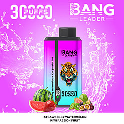 bang leader 30000 puffs original bang leader 30k double flavor vape led display type c port disposable e cigarettes customizable. fast shipping