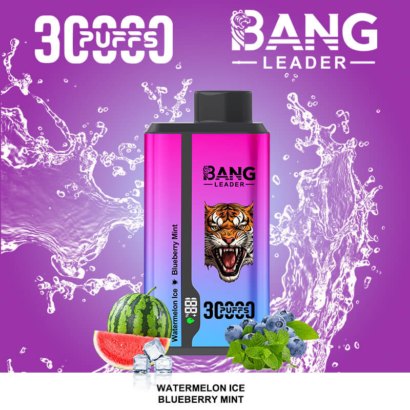 bang leader 30000 puffs original bang leader 30k double flavor vape led display type c port disposable e cigarettes customizable. fast shipping
