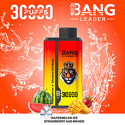 bang leader 30000 puffs original bang leader 30k double flavor vape led display type c port disposable e cigarettes customizable. fast shipping