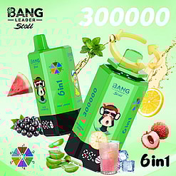bang leader 300000 puffs original bang leader stoll 300k 6 flavors in 1 vape led display type c port disposable e cigarettes customizable fast shipping