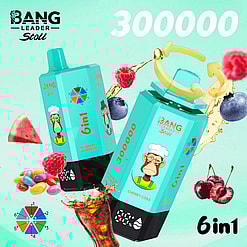 bang leader 300000 puffs original bang leader stoll 300k 6 flavors in 1 vape led display type c port disposable e cigarettes customizable fast shipping