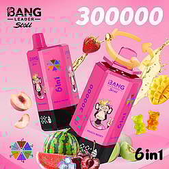 bang leader 300000 puffs original bang leader stoll 300k 6 flavors in 1 vape led display type c port disposable e cigarettes customizable fast shipping