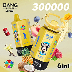 bang leader 300000 puffs original bang leader stoll 300k 6 flavors in 1 vape led display type c port disposable e cigarettes customizable fast shipping
