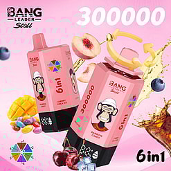 bang leader 300000 puffs original bang leader stoll 300k 6 flavors in 1 vape led display type c port disposable e cigarettes customizable fast shipping