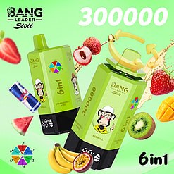 bang leader 300000 puffs original bang leader stoll 300k 6 flavors in 1 vape led display type c port disposable e cigarettes customizable fast shipping