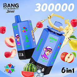 bang leader 300000 puffs original bang leader stoll 300k 6 flavors in 1 vape led display type c port disposable e cigarettes customizable fast shipping