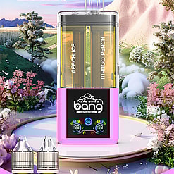 bang 60000 puffs original bang 2in1 60k can be filled with e liquid vape led display disposable e cigarettes customizable. fast shipping