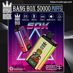 bang box 50000 puffs original bang box 2in1 50k vape led display type c port disposable e cigarettes customizable fast shipping