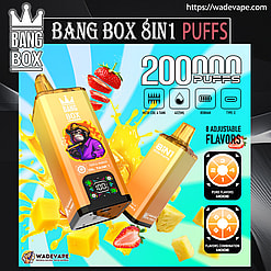 bang box 200000 puffs original bang box 8in1 200k vape led display type c port disposable e cigarettes customizable fast shipping