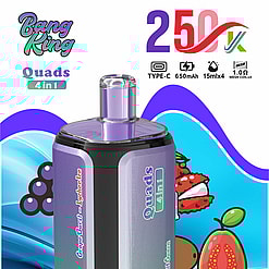 bang king 250000 puffs original bang king 4in1 250k vape led display type c port disposable e cigarettes customizable fast shipping