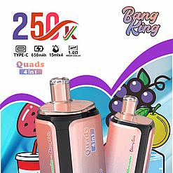 bang king 250000 puffs original bang king 4in1 250k vape led display type c port disposable e cigarettes customizable fast shipping