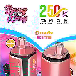 bang king 250000 puffs original bang king 4in1 250k vape led display type c port disposable e cigarettes customizable fast shipping