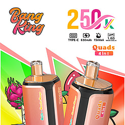 bang king 250000 puffs original bang king 4in1 250k vape led display type c port disposable e cigarettes customizable fast shipping