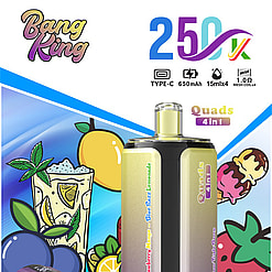 bang king 250000 puffs original bang king 4in1 250k vape led display type c port disposable e cigarettes customizable fast shipping