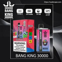 Kleurrijke productafbeelding van een Bang King 30000 wegwerpvape en de doos op een donkere achtergrond, met het kroonlogo, de smaak Watermelon Ice Blueberry Mint met een kleurrijke aapillustratie, voorzien van pictogrammen voor Type-C opladen, 550 mAh, 36 ml capaciteit en 1,0 Ω mesh-spoel, plus een prominente nicotinegezondheidswaarschuwing.