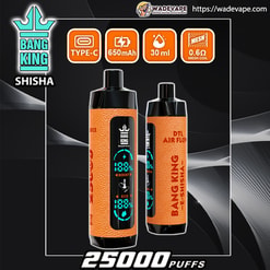 Twee oranje Bang King Shisha-vape-apparaten met leertextuur, voor- en achterkant afgebeeld met zwarte mondstukken en een gloeiend digitaal display, omgeven door pictogrammen voor Type-C-opladen, 650mAh-batterij, 30ml e-vloeistof en 0.6Ω mesh-spoel, met grote '25000 puffs'-tekst onderaan.