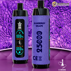 Two upright cylindrical purple‑textured e‑shisha devices displayed against a glossy purple patterned background; the front unit shows a vertical digital screen with battery, boost and eco indicators, and the rear unit is labelled BLUEBERRY GRAPE and 25 PUFFS, with small Bang King and WadeVape logos and a hookah icon.
