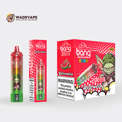 Two red-and-green watermelon-themed disposable vape items — a single cylinder device and its slim retail box on the left and a larger multi-pack display box on the right — branded