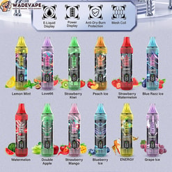 Promotieraster met 12 kleurrijke wegwerp-vape-apparaten (Bang King), gerangschikt in twee rijen met bijpassende fruitafbeeldingen en smaaknamen eronder, plus een bovenste banner met pictogrammen voor e-liquid-display, power-display, bescherming tegen droogbranden en mesh-spoel en een WADEVAPE-logo in de hoek.