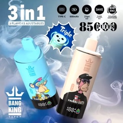 Two cylindrical Bang King disposable vapes—one light blue with a cartoon ape and pineapple graphic, the other cream with a cool ape and cherry cola label—floating against a smoky background with prominent '3 in 1' and '85 puffs' text plus icons for Type‑C charging, 600mAh battery, 3×21ml capacity and triple‑flavour adjustment.