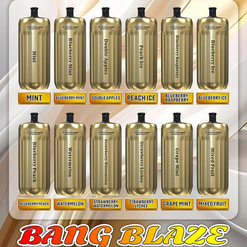 Twelve gold-coloured disposable vape devices with black mouthpieces arranged in two rows above orange nameplates listing flavours such as Mint, Blueberry Mint, Double Apples, Peach Ice, Blueberry Raspberry, Blueberry Ice, Blueberry Peach, Watermelon, Strawberry Watermelon, Strawberry Lychee, Grape Mint and Mixed Fruit, with a large stylised BANG BLAZE logo across the bottom.