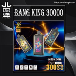 Promotieposter voor wegwerpvapes van Bang King met drie zwarte pod-apparaten met kleurrijke neondierenafbeeldingen (uil, wolf, draak) op een gloeiend blauw-oranje podium, met labels voor mesh-spoel, Type-C opladen, 650 mAh en 300 trekjes.