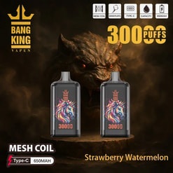 Two black Bang King disposable vape devices with colourful unicorn artwork and '300 puffs' branding set on a smoky dark background dominated by a snarling beast face, with product icons for mesh coil, Type‑C charging and 650mAh capacity and the flavour label 'Strawberry Watermelon'.