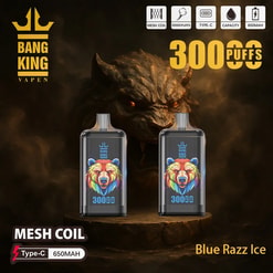 Two Bang King disposable vape devices with colourful rainbow bear artwork and '300 PUFFS' branding on a smoky dark background featuring a menacing wolf face, with icons for mesh coil, Type-C and 650mAh and the flavour label 'Blue Razz Ice'.