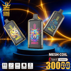 Three black Bang King disposable vapes with vivid neon animal designs — a wolf centre, an owl left and a dragon right — floating above a lit blue podium with labels showing 300 puffs, mesh coil and Type‑C 650mAh