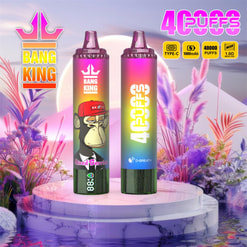 Two rainbow-gradient Bang King disposable vape devices—one featuring a cartoon ape in a red cap with 'Mixed Berries' text and the other showing bold '40 PUFFS' branding—standing on a marble display amid pastel floral foliage and a sunset-like backdrop with small product icons (Type-C, 1000 mAh) in the corner.