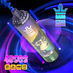 Cylindrical Bang King disposable vape with a cartoon ape wearing goggles on a rainbow-gradient body, emitting blue vapour against a neon purple-and-blue swirl background, accompanied by the Bang King logo and text/icons indicating 40,000 puffs, Type‑C charging, 1000mAh battery and 1.0Ω mesh coil.