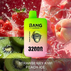 Jasnozielony do różowego jednorazowy waporyzator z etykietą BANG LEADER i 32000 PUFFS, skupiony wokół truskawek, kiwi i brzoskwiń, z nazwą smakową Strawberry Kiwi Peach Ice na dole.