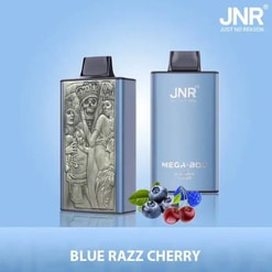 jnr mega box 25000 puffs original genuine disposable vape type c charging port crystal 25k customizable. fast shipping