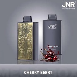 jnr mega box 25000 puffs original genuine disposable vape type c charging port crystal 25k customizable. fast shipping
