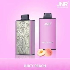 jnr mega box 25000 puffs original genuine disposable vape type c charging port crystal 25k customizable. fast shipping